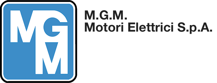 MGM Motori Elettrici spa